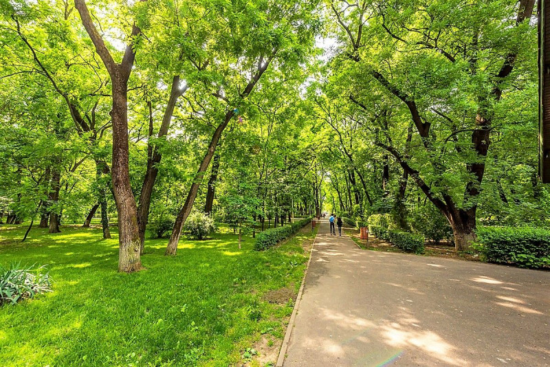 PARC BAZILESCU - METROU, APARTAMENT 2 CAMERE RENOVAT, LIBER, 50 MP.