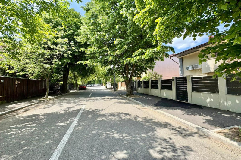 Bucurestii Noi -Subcetate 110, apartament 3 camere igienizat, demisol, 55 mp.