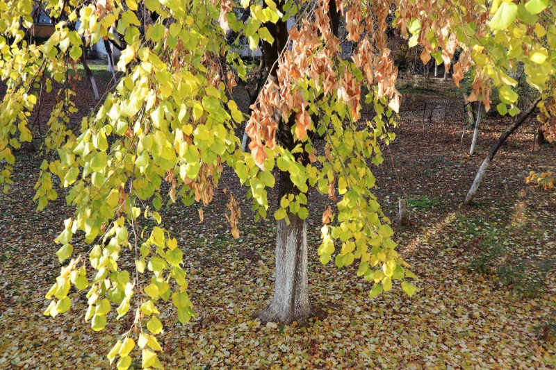 Salaj – Str. Humulesti, apartament 2 camere, gata de mutat, parcare, boxa. 